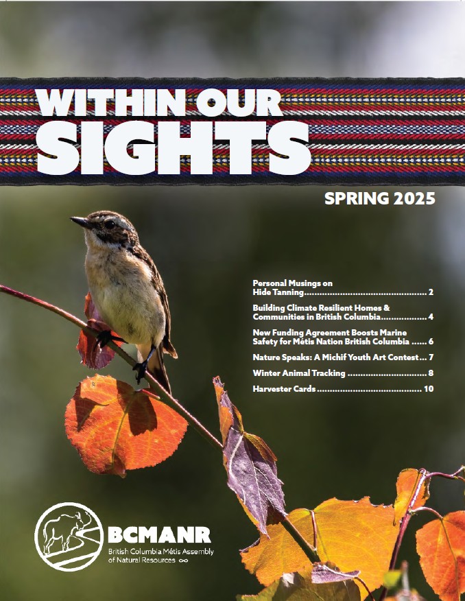 Cover of 'Within Our Sights' Spring 2025 Newsletter cover