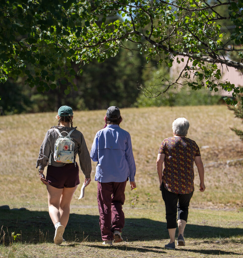 A group of people walking in a tree-lined field.
